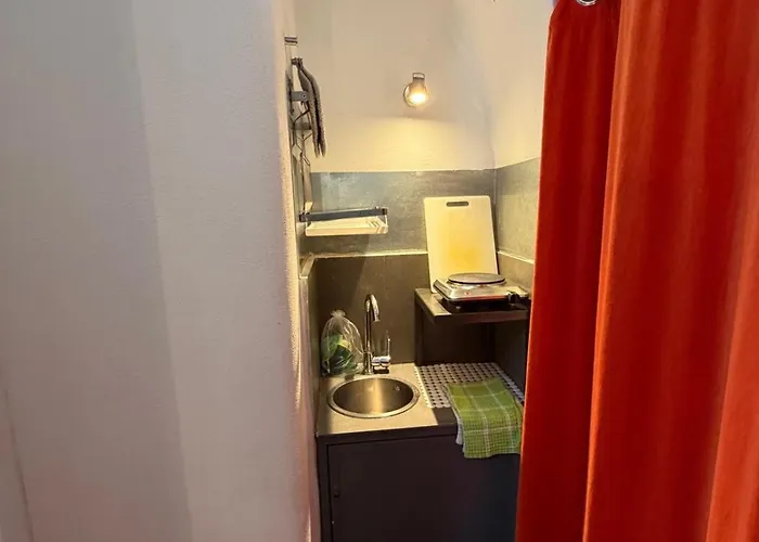 Gatto Giallo A Chiaia By Domusextra