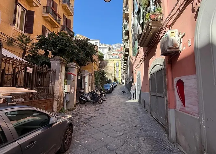 Gatto Giallo By Domusextra Napoli